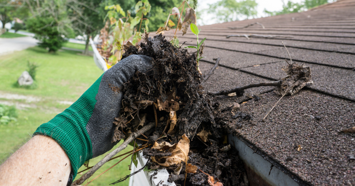 12 Fall Home Maintenance Tasks for Florida Homeowners